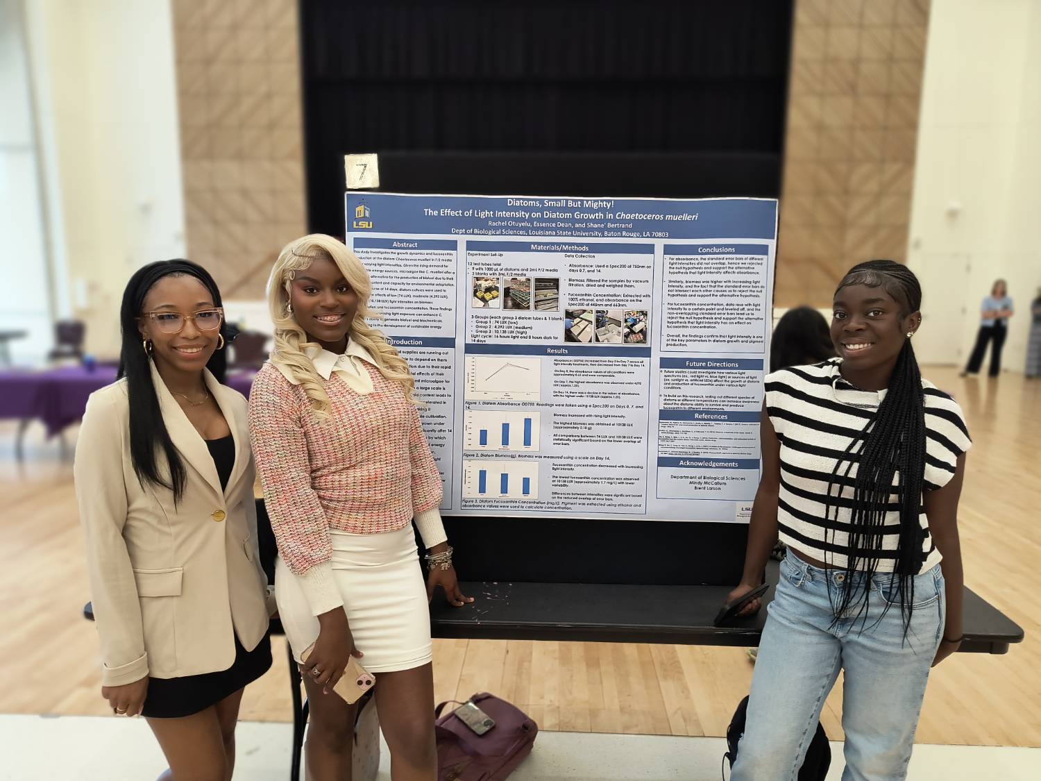 alt text description