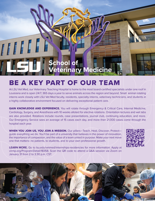 small animal rotating internship flyer